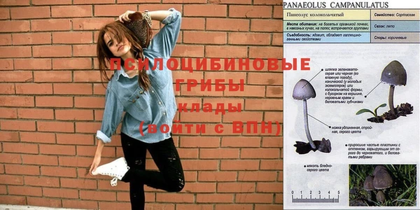 таблы Алексин