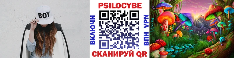 Галлюциногенные грибы мицелий  где найти наркотики  Сортавала 